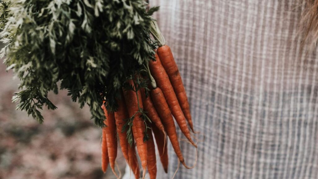 Final Thoughts on the Kirkland 640-Count Value Pack