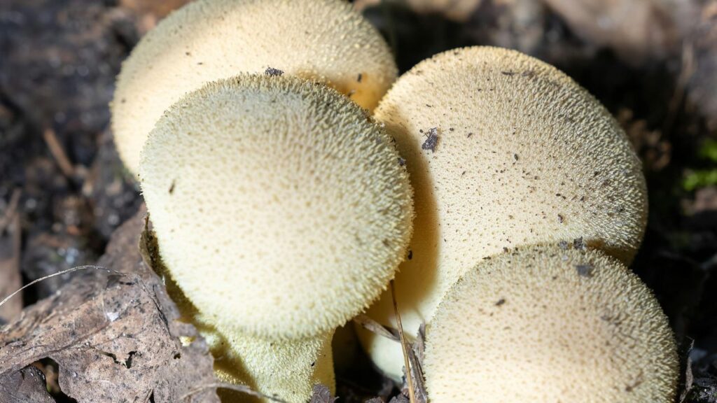 Final Thoughts on the Legacy of the Term